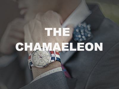 The Chamaeleon