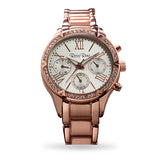 The Pegasus - Elegant Rose Gold Multifunction Ladies