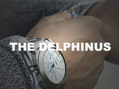 The Delphinus